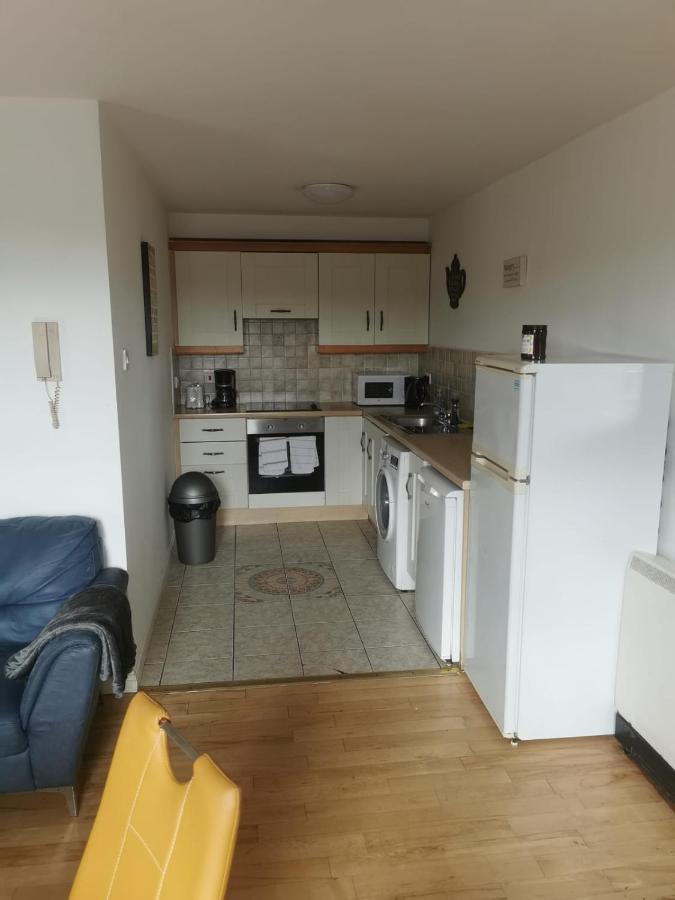 Cosy Retreat Apartment Galway Bagian luar foto